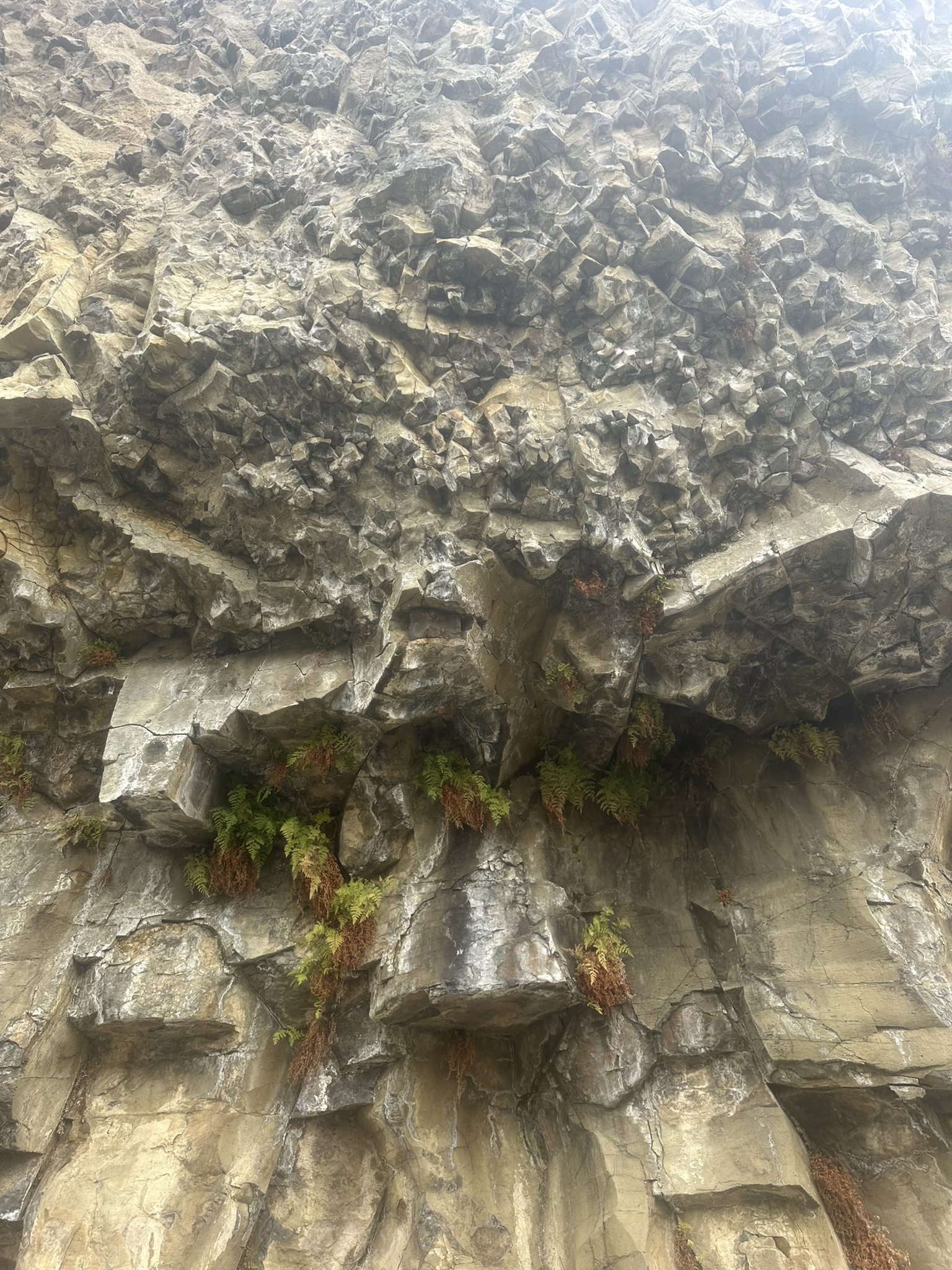 Yellowstone And Grand Teton National Parks - Image 877